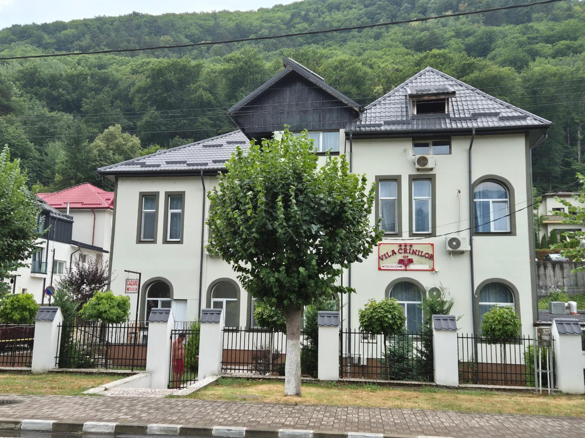 Vila Crinilor Călimăneşti Exterior foto
